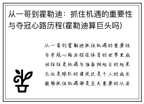 从一哥到霍勒迪：抓住机遇的重要性与夺冠心路历程(霍勒迪算巨头吗)