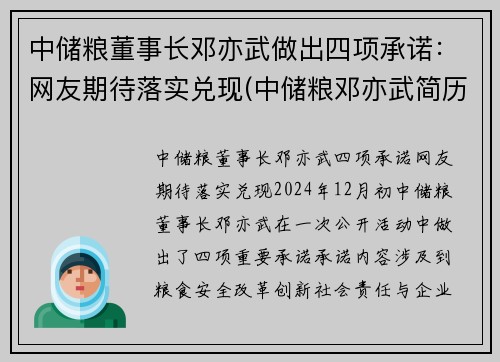 中储粮董事长邓亦武做出四项承诺：网友期待落实兑现(中储粮邓亦武简历)